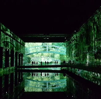 A dark, immersive space with vivid green projections covering the walls and ceiling, resembling a natural, forest-like setting. Silhouettes of people stand on a bridge, creating reflections in the water below.